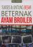 Sukses & Untung Besar Beternak Ayam Broiler